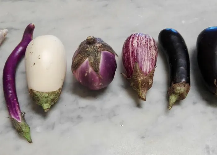 Stella Bed & Breakfast Perugia