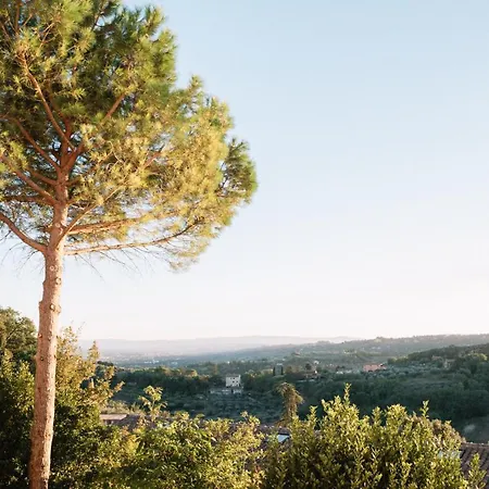 Bed & Breakfast Stella Perugia