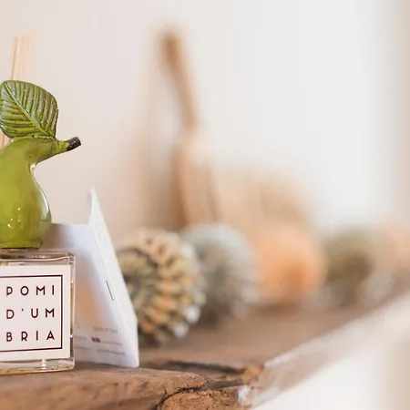 Bed & Breakfast Stella Perugia