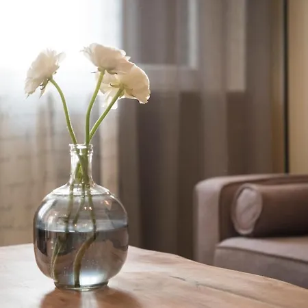 Bed & Breakfast Stella