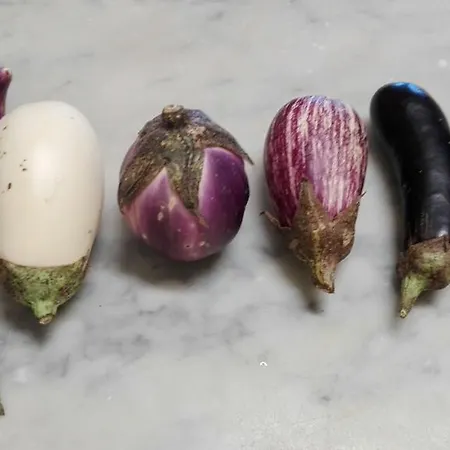 Stella Bed and Breakfast Περούτζια