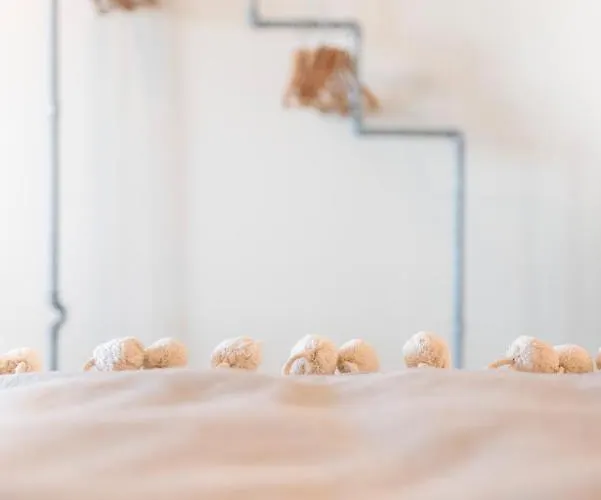 Stella 3* Περούτζια