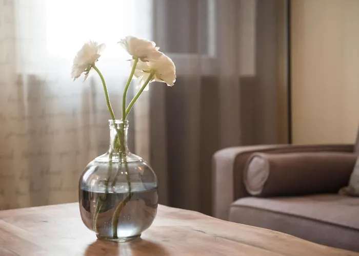 Bed and Breakfast Stella