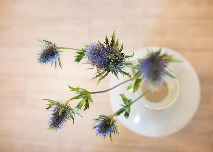 Stella Bed and Breakfast Περούτζια